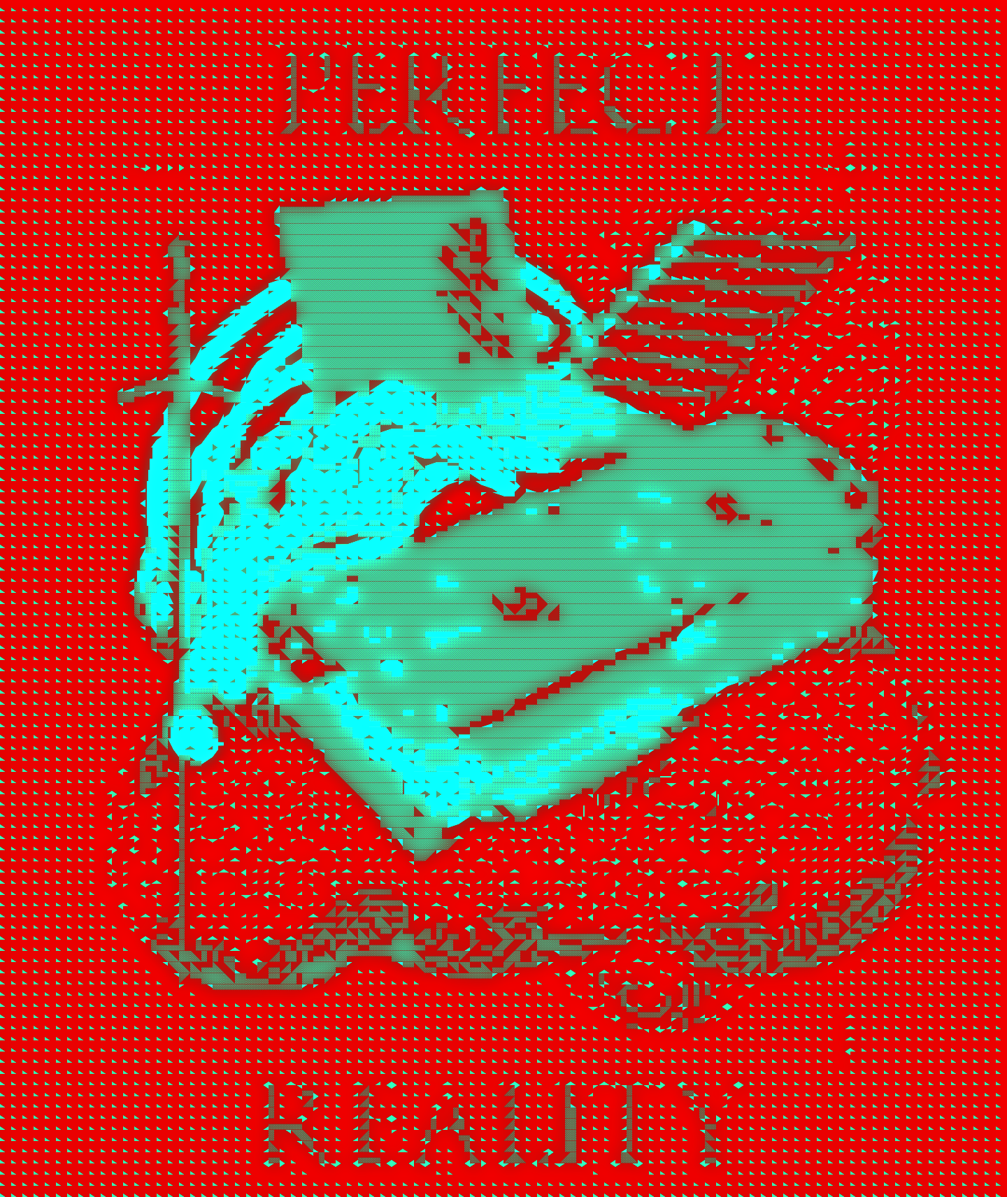 Perfect Reality Poster - Front view